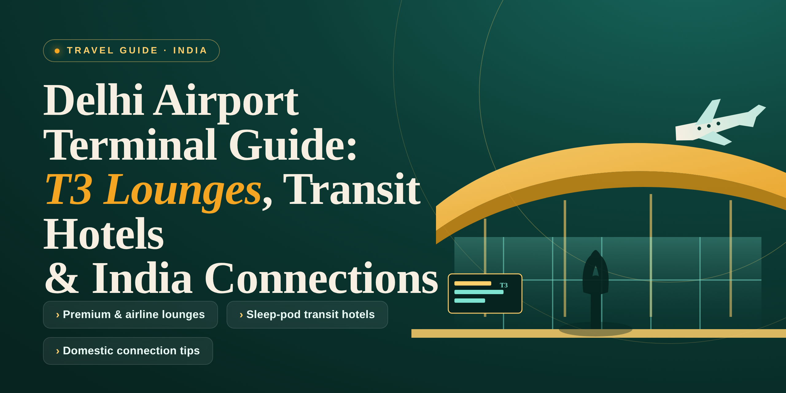 Delhi Airport Terminal Guide